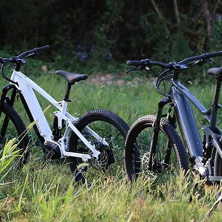 Ap Apartment's Widok Na Gory * Waldenburg